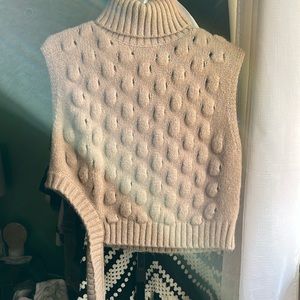 It’s a sweater sleeveless turtle neck,Zara sweater